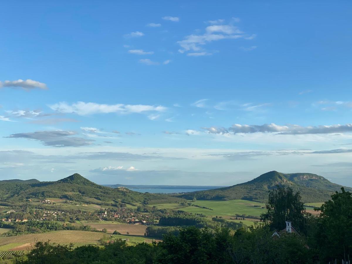 Chateau Segesdi BorApartman Gyulakeszi Bagian luar foto