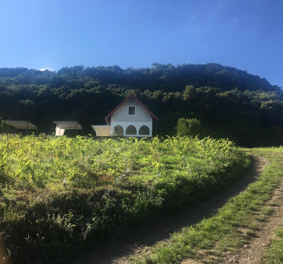 Chateau Segesdi BorApartman Gyulakeszi Bagian luar foto