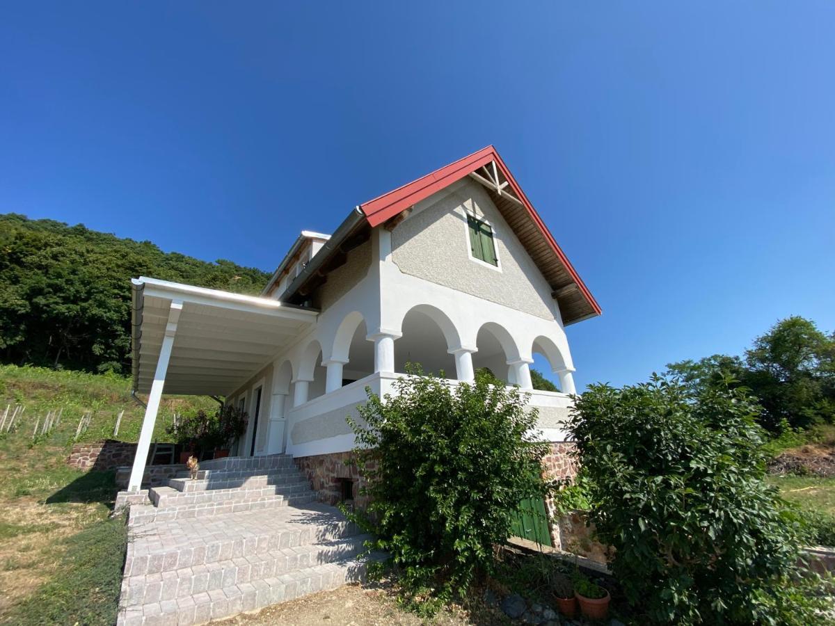 Chateau Segesdi BorApartman Gyulakeszi Bagian luar foto