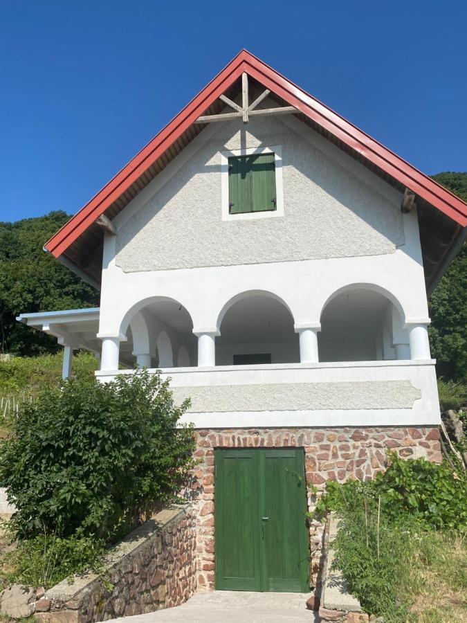 Chateau Segesdi BorApartman Gyulakeszi Bagian luar foto